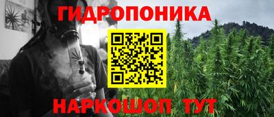 дмт Берёзовский