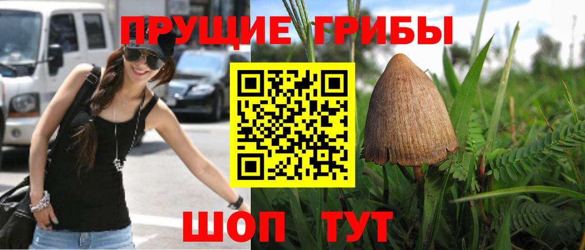 Галлюциногенные грибы ЛСД  Галлюциногенные грибы MAGIC MUSHROOMS  Вход с VPN  Ишим 
